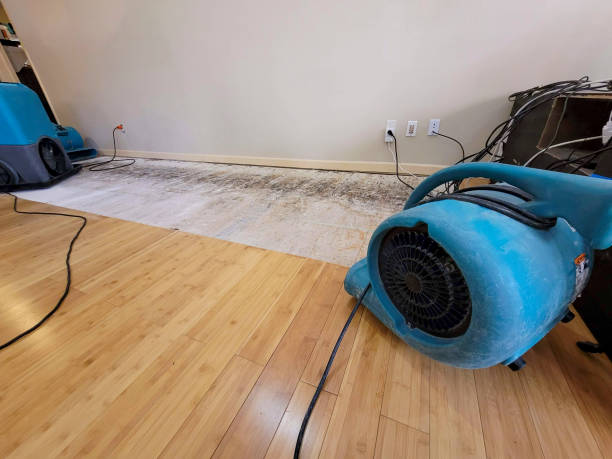 Professional Water Extraction technician working in Bannister, MI